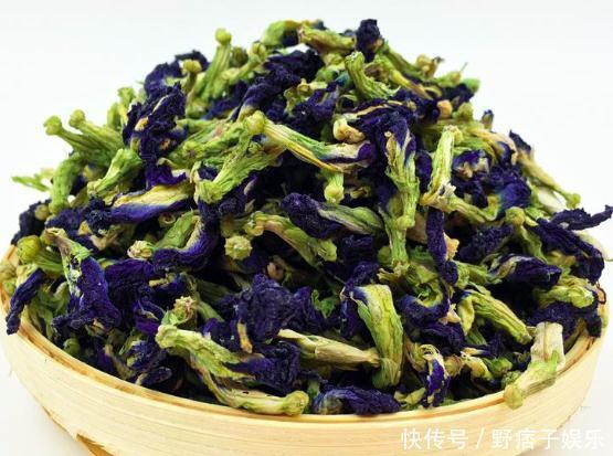蓝蝴蝶花|肝不好的人，常用此花泡水，睡前一杯，补中益气，肝越来越健康
