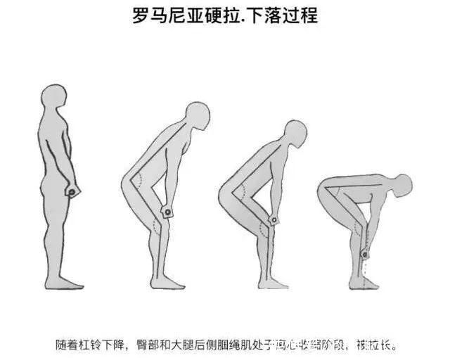 横杆|别再只做单一运动了,坚持28天力量循环训练,助大家打造完美体型