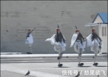 |搞笑GIF：这鸟是饿急了，才冒险来头人类的食物