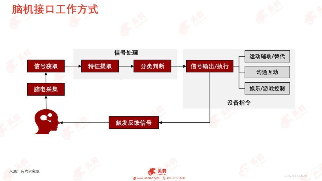 link|元宇宙或迎“终极形态”？马斯克为何如此力挺脑机接口技术