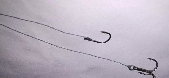 子线长度有多讲究?相差10厘米钓获可能少一半,看老钓手的分享