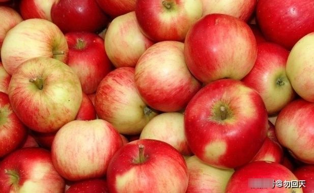 孕期多吃以下几种水果，胎儿出生更健康