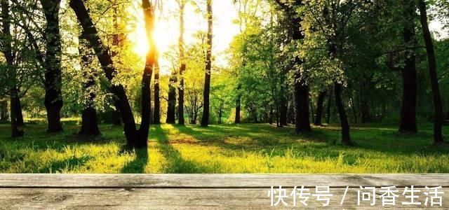 午睡|王安石笔下最有诗意的午觉，28字的古诗，却有名句流传后世