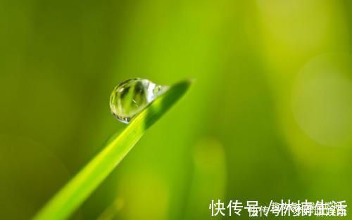 申时|出生在几点钟的孩子,智商高,长大后孝顺又有出息,光宗耀祖