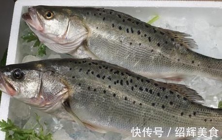 鱼身|买鲈鱼，不要只看大小来挑选！记得看这3点，选的鲈鱼又嫩又新鲜