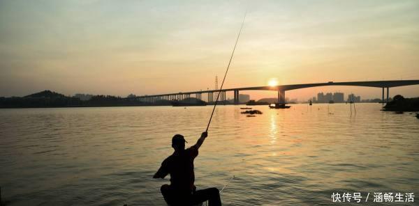 钓鱼|钓鱼必须鱼钩必须躺底打破传统方式,钓底钓浮都上鱼
