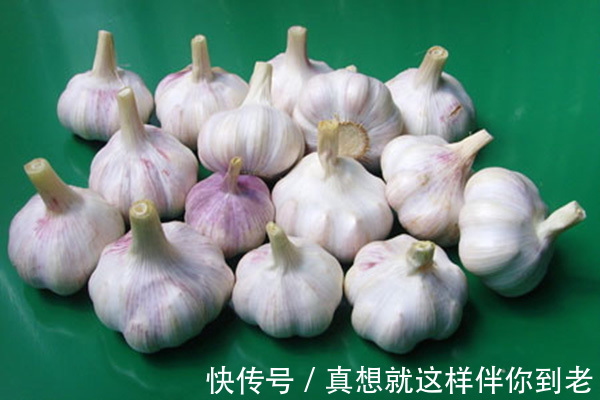 颈淋巴结核|这六种野菜在农村都十分稀少，药用价值极高，更是有防癌的奇效