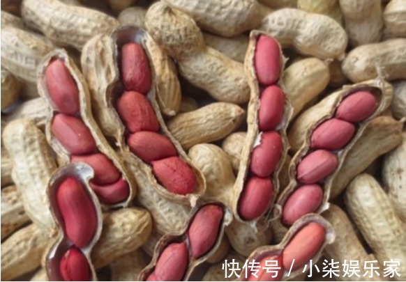 孕期|孕期不能贪吃准妈别担心,其实有些零食可以吃点,对自身也好