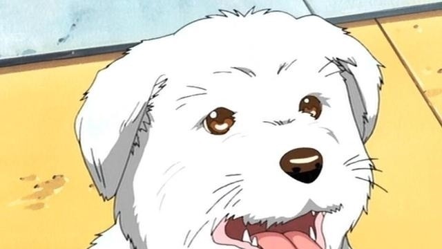 剧场版|《蜡笔小新》一家的真实面貌曝光,原来美伢是超级大美女