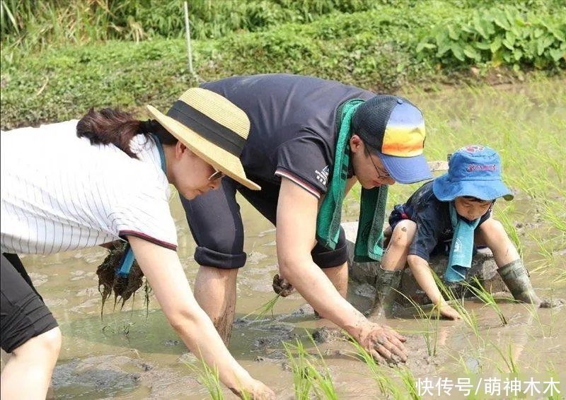 餐费|苏芒说一天650伙食费不够，范冰冰才更夸张，每日餐补1500元