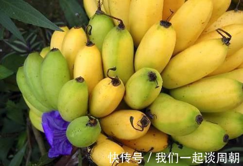 饥饿感|什么时间吃香蕉对身体好？很多人都不知道，这3个时间段记住了！