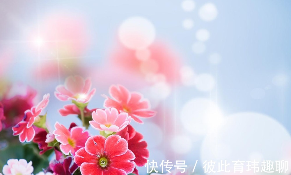 老伴|3个年过75岁的老人坦言:人到晚年,连死都不怕,唯独怕3件事