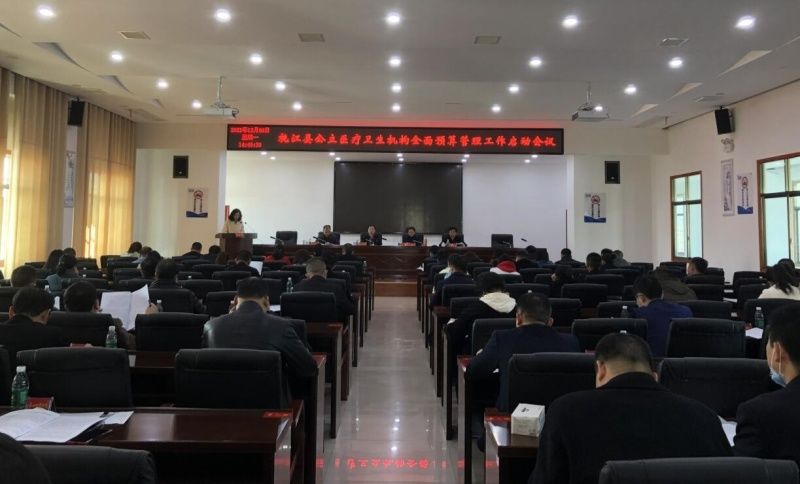 桃江县|桃江县公立医疗卫生机构全面预算管理工作启动