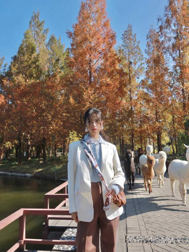 穿搭|入冬以后别穿裙子腿太冷了,今冬流行这几款裤子,简约大方有气质