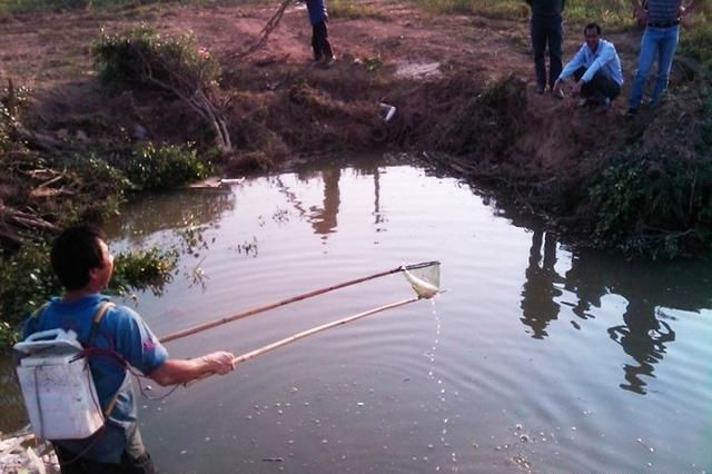 电鱼6斤罚款20000元,鱼苗放了二百斤,钓友真是大快人心