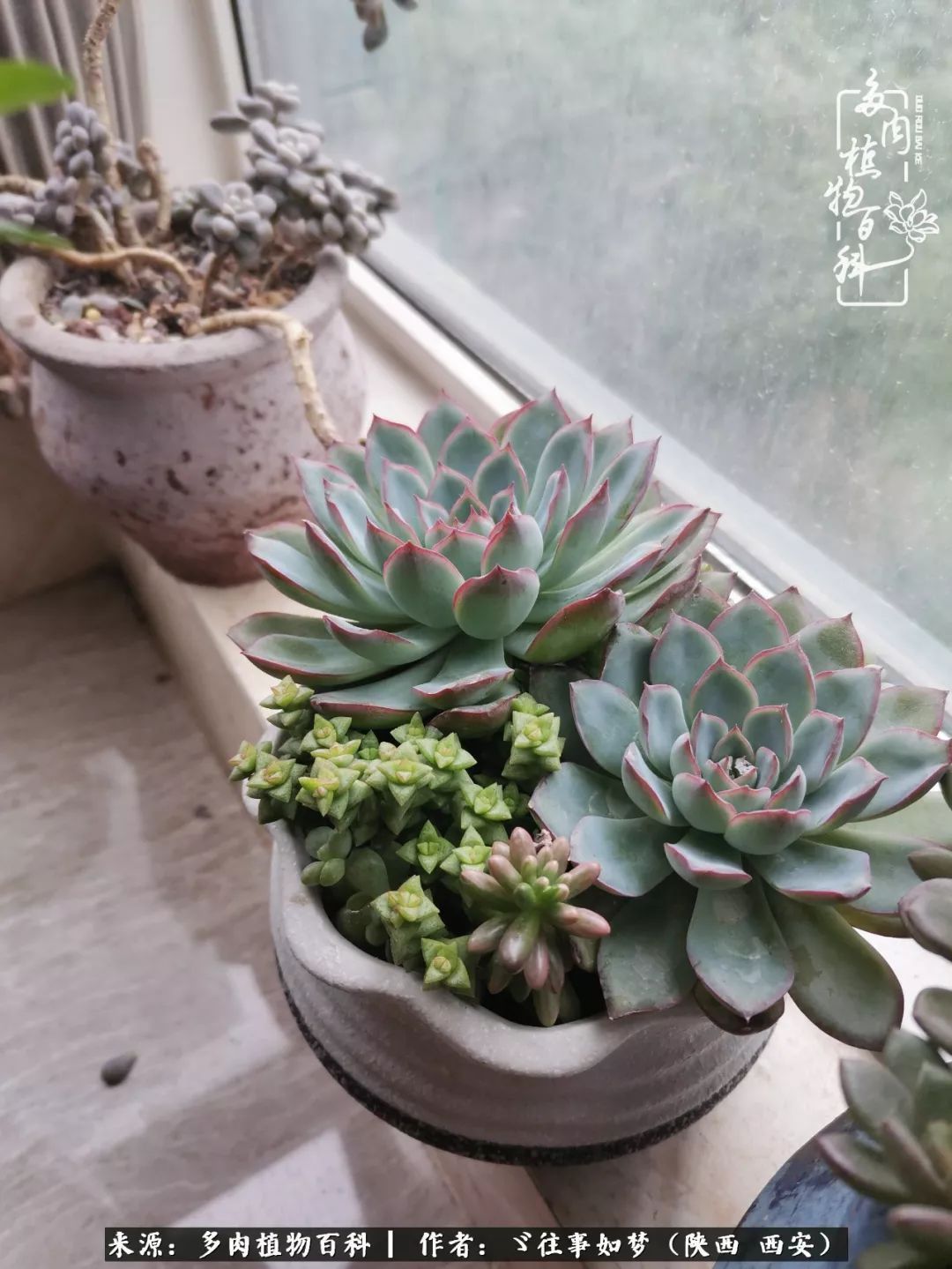 愿你付出甘之如饴,愿你所得归于欢喜!