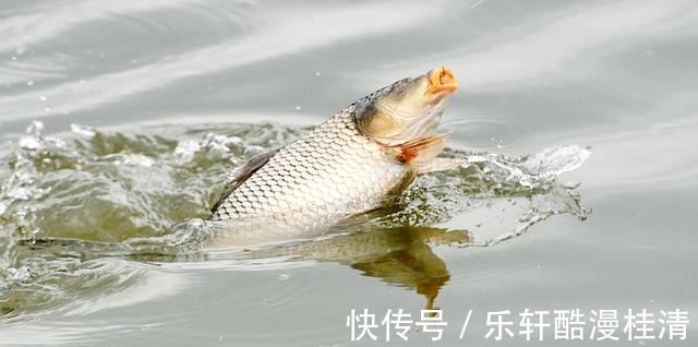 钓鱼这么多年,被70岁老大爷,给上了一课