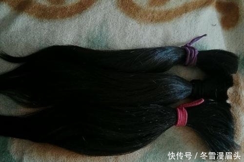 农村俗语头发硬而粗,一生好辛苦,啥意思?