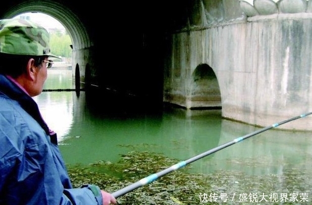 入夏后,野钓鲫鱼的四点建议,能让渔获稍微好一些