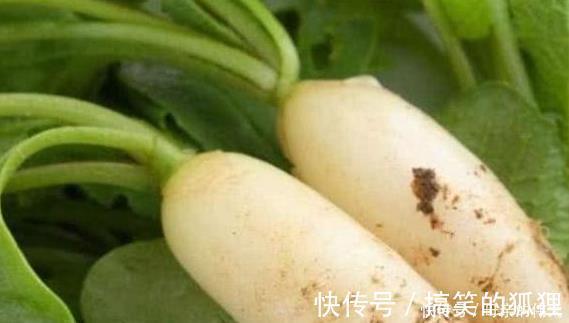 苦苣根|又被称为血管“清道夫”，每天吃一点，血管干净了，血栓消失了