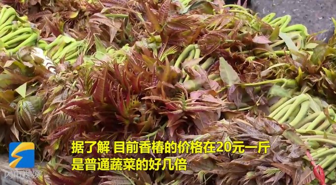 一盘香椿炒蛋下肚“险丧命”！吃这种时鲜菜，中疾控专家特别提醒