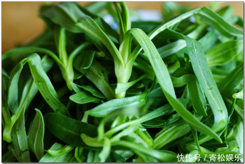 春季独特野菜，必须跟面条一起吃味道才好，市场一斤卖到30元