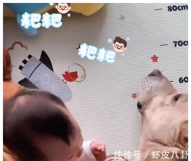 狗狗|江苏一萌娃第一次喊“爸爸”,却是对着狗狗喊,爸爸心里五味杂陈