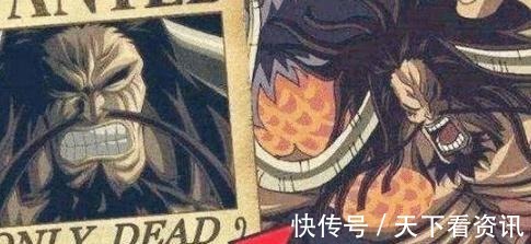 布鲁克|海贼王最古老的悬赏令,还是伊姆亲自下达的,然而却永远无法抓捕