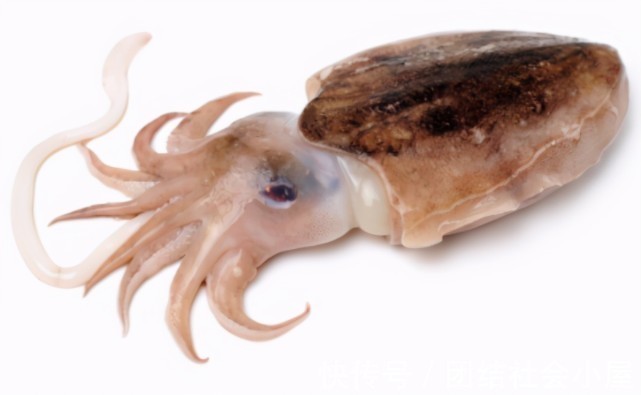 蜂蜜|高血脂的“源头”已发现,不止是肥肉,这6种食物也要少吃