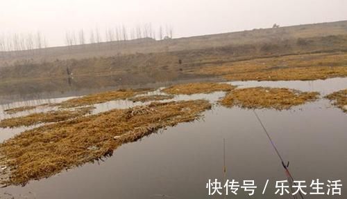 冬季手竿钓鲫鱼,用了这4个秘诀,上鱼更多,渔获差不了!