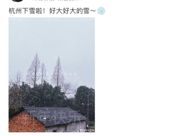 雨雪|雪！雪！雪！现在，杭州市区虎年的第一场雪正在进行中