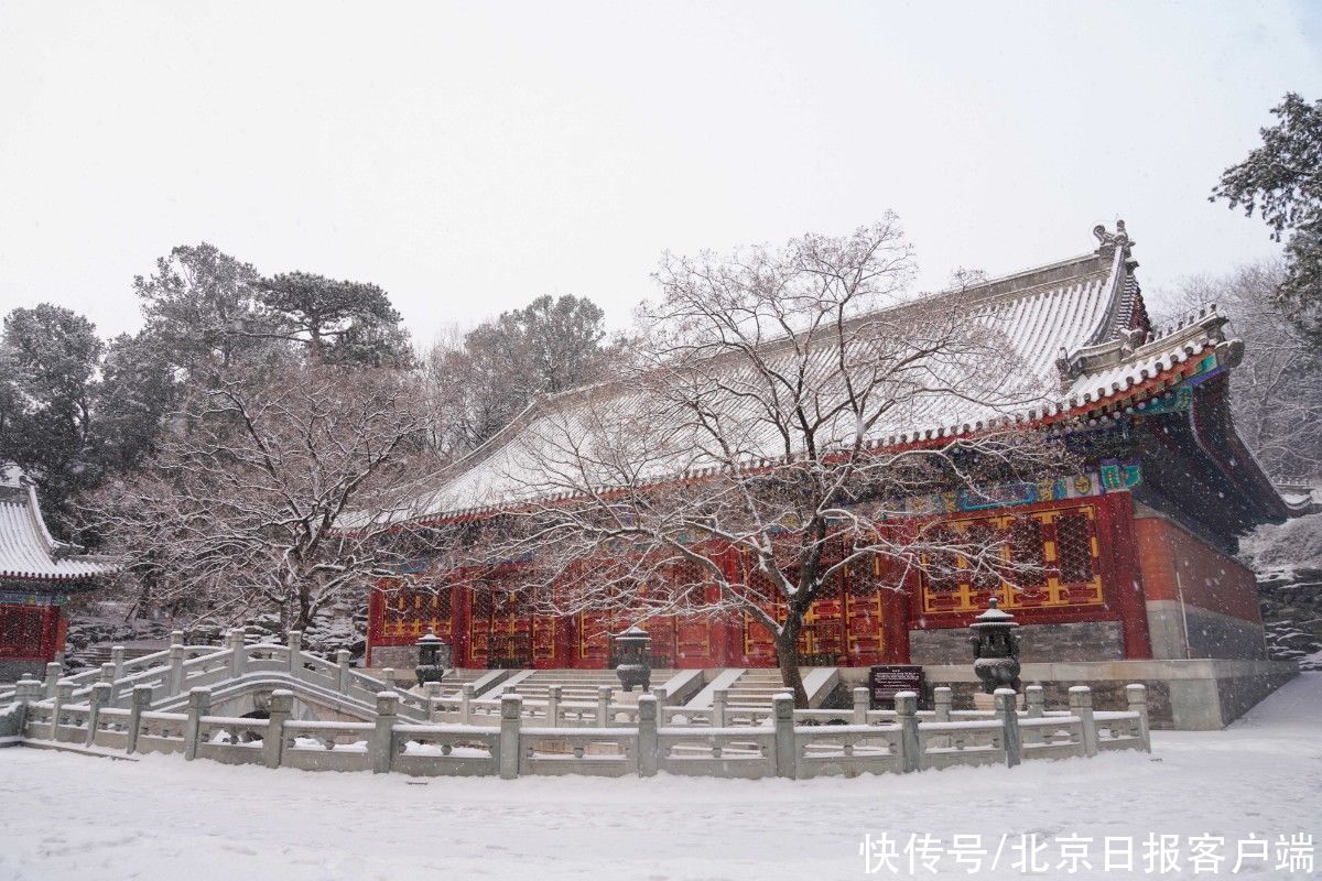 香山看雪，分外妖娆|美图 | a305