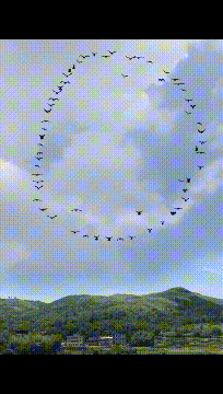 |搞笑gif段子:这像不像周一上班的你!