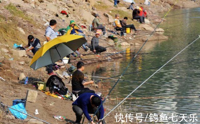 重庆|重庆垂钓规范出台，多种鱼不能再钓！网友：钓鱼前请带好尺子和秤