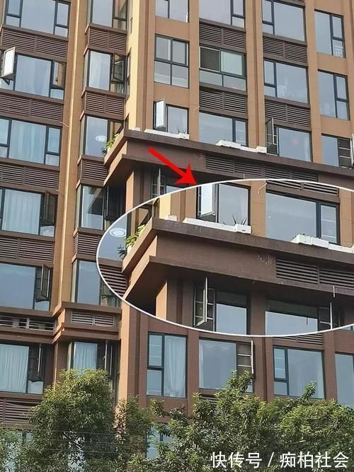 高层腰线拿来养花?邻居理直气壮:反正出了公摊,为啥我不能用?