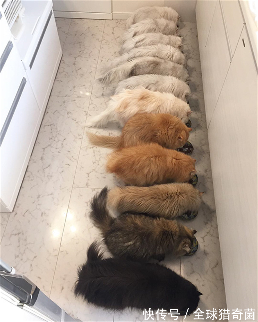 摄影|35张“活久见”的完美图片,强迫症瞬间被治愈了