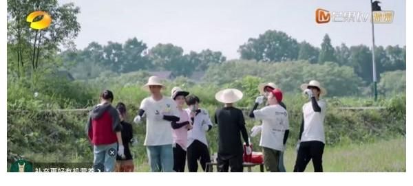 两人|《向往的生活》张子枫对梁靖康说的第一句话，尽显两人关系，难怪黄磊想要打他