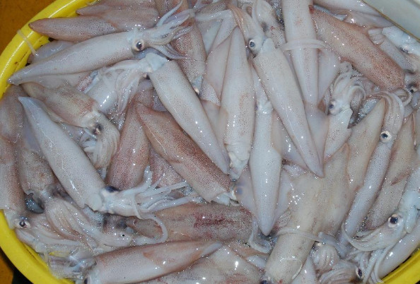 鱿鱼|韭菜搭配它一起炒,是男人就该多吃,肾好体壮,还能提高抗病力!