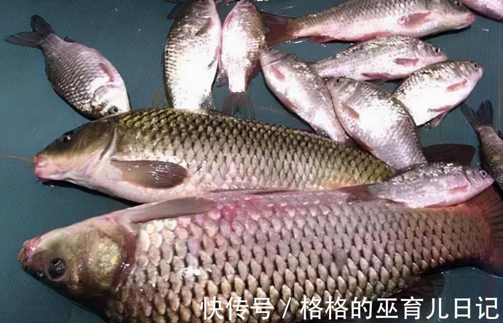 打窝良久不发窝,不一定是窝料的问题,可能打窝的方法不太对