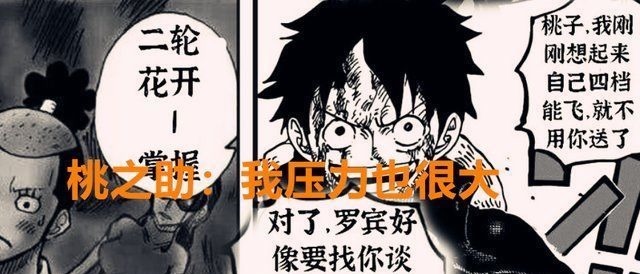 桃之助|海贼王1021话继玉皇之后,又一位神级人物出现,桃之助成长没用