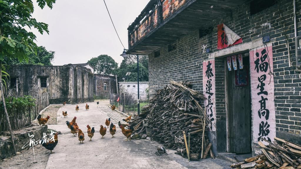 乡村|穿红裙到乡村旅游，吓得村民一哆嗦，这座百年村庄其实时光静好