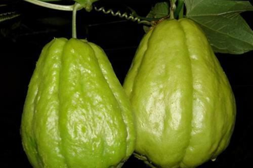 女性不想老得快，臉上爬滿皺紋，3種食物，調(diào)節(jié)內(nèi)分泌，美容養(yǎng)顏