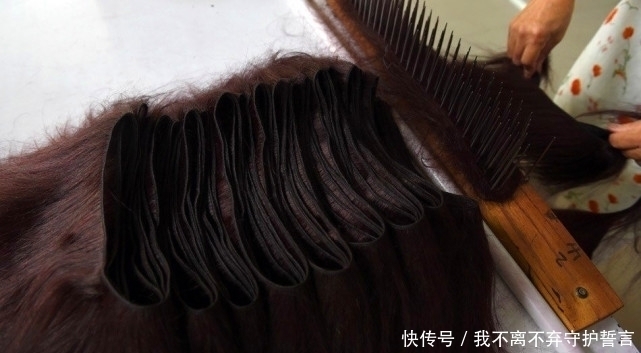 成人偶|我们剪掉的头发都干了什么?很多人经历过,却很少人知道