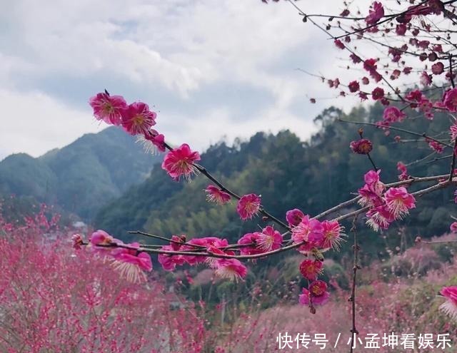 老年|春天的气息，藏在安徽的小乡村，名气不大，却美成了一幅“画”