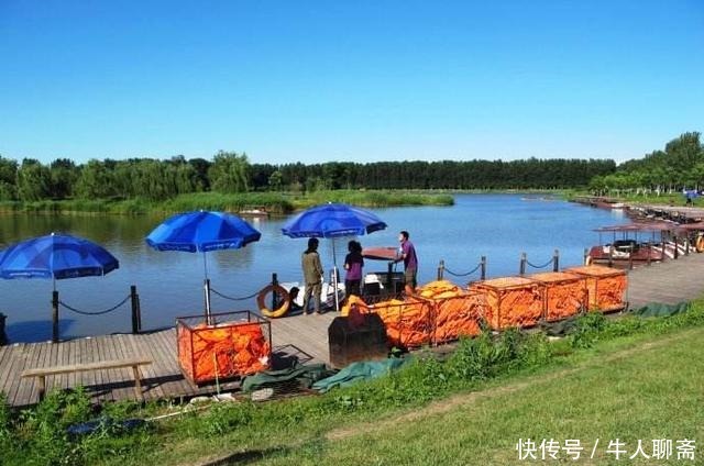 野生|这里是北京平原地区唯一的大型沼泽湿地公园，很多人不知道