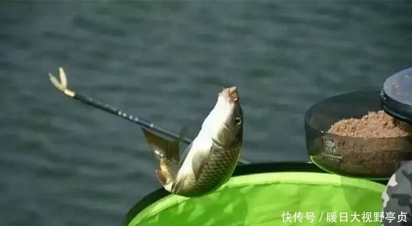 野钓|这些影响渔获的,钓鱼不良习惯,你有吗?