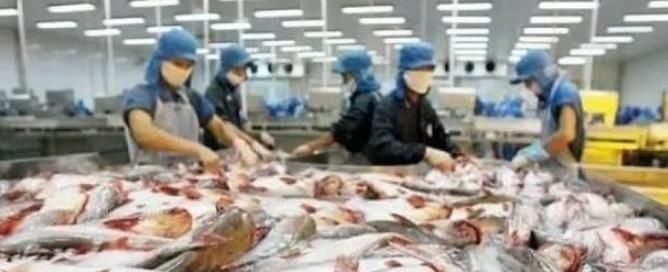 带来|中国停止进口，越南一点不慌还带来“反向操作”，这回翻车了？