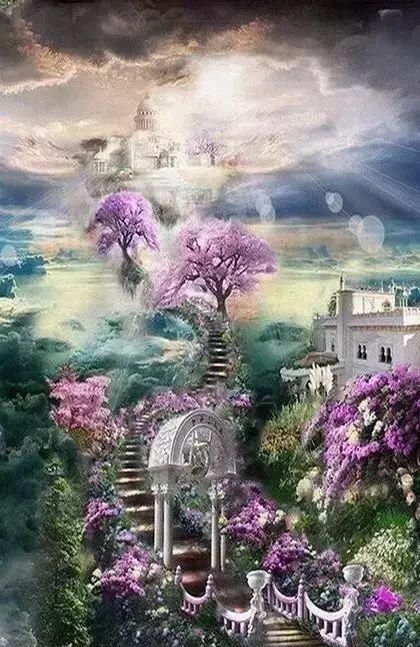 传来|太美了,世界照片今天终于传来,罕见至极,一睹为快