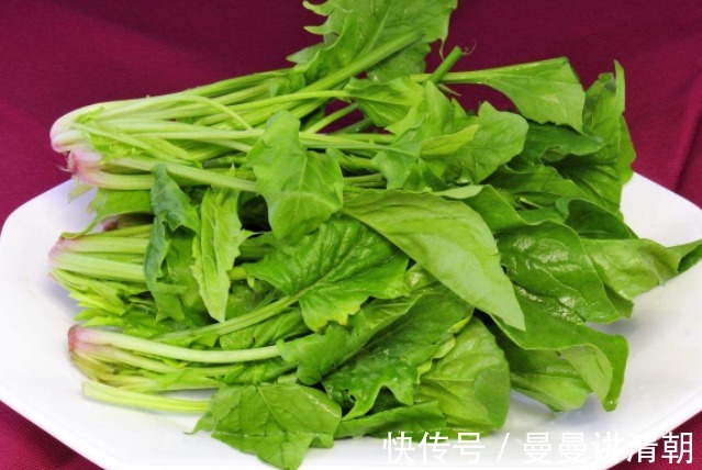 菠菜|菠菜有1大“禁忌”，對健康沒好處，記得早點了解告訴家人