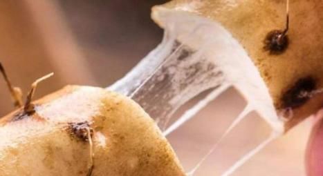 “长寿”的人，会有“1慢1软1快”的特征，若你也有，恭喜你